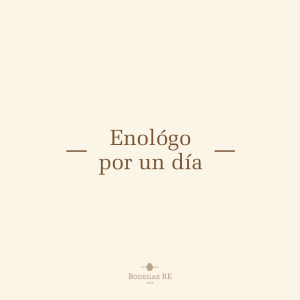 Enológo Por Un Día
